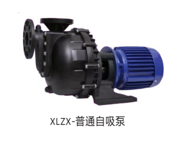 XLZX-自吸式耐酸碱泵